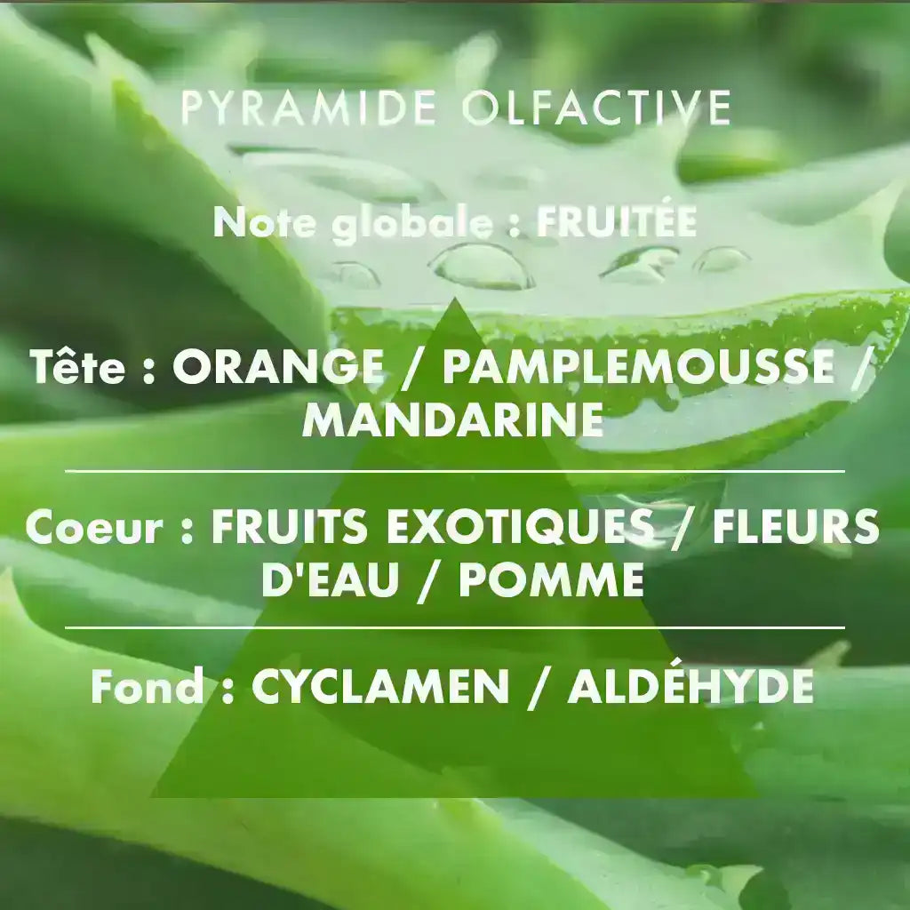 Aloe Vera - Bougie parfumée 190g