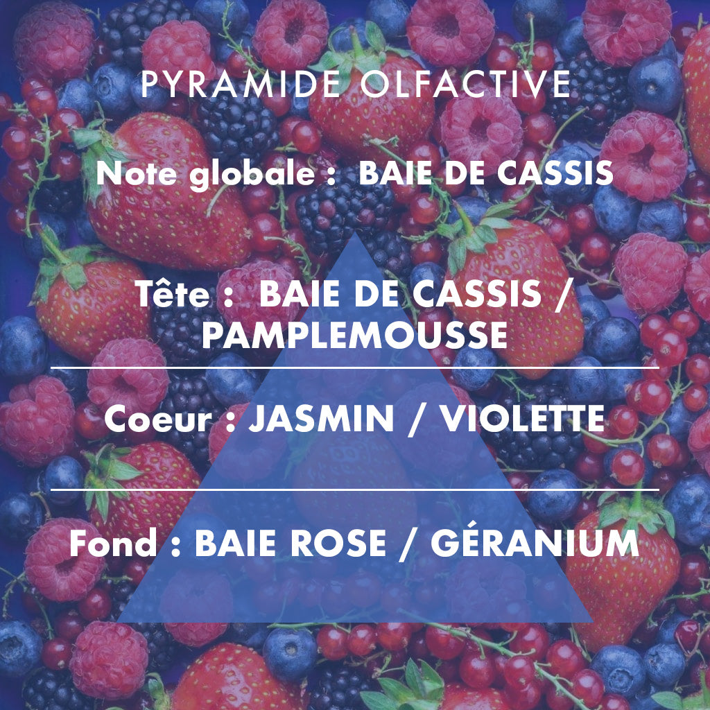 Wild Berries - Scented Candle 180g