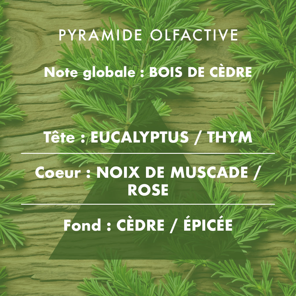 Cèdre - Bougie parfumée 180g