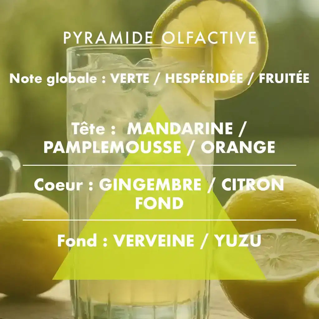 Citronnade - Bougie parfumée 190g