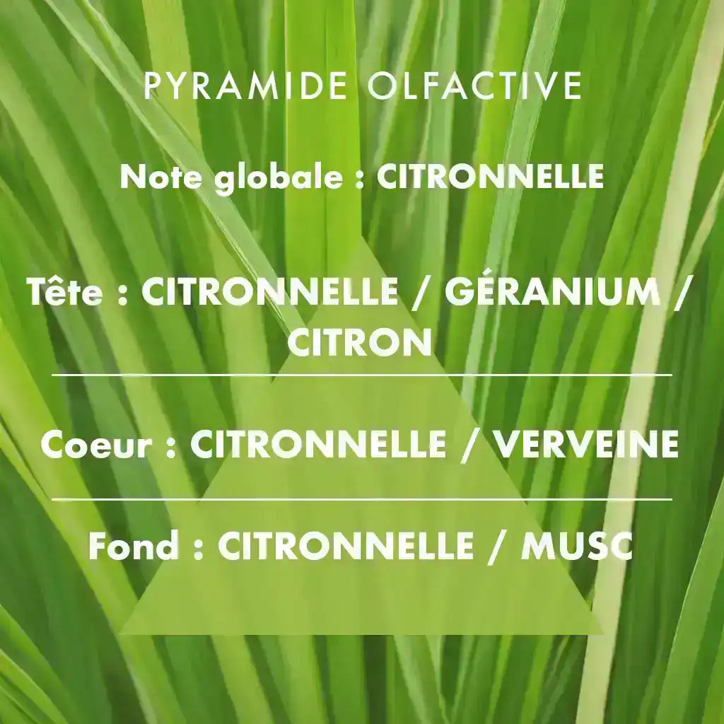 Citronnelle - Bougie parfumée 400g
