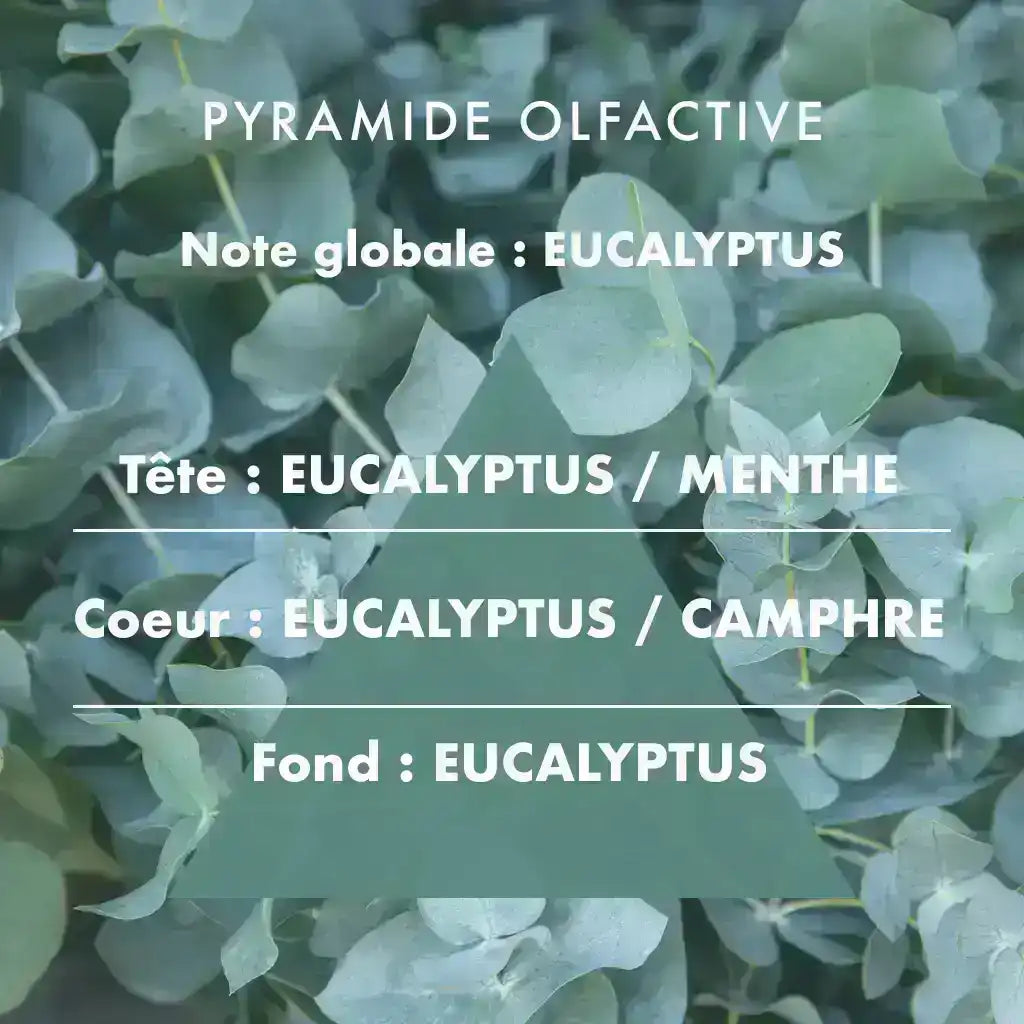 Eucalyptus - Bougie parfumée 400g