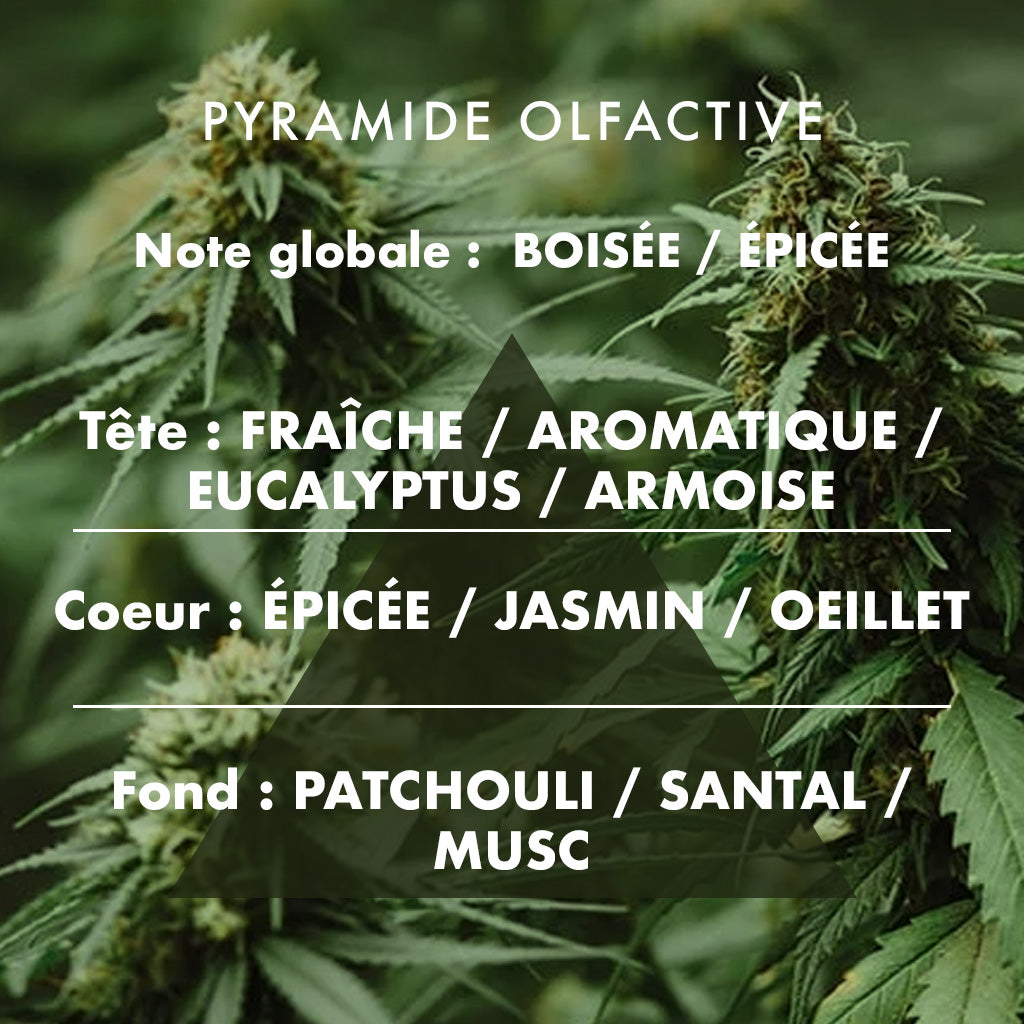 Cannabis - Scented Candle 180g