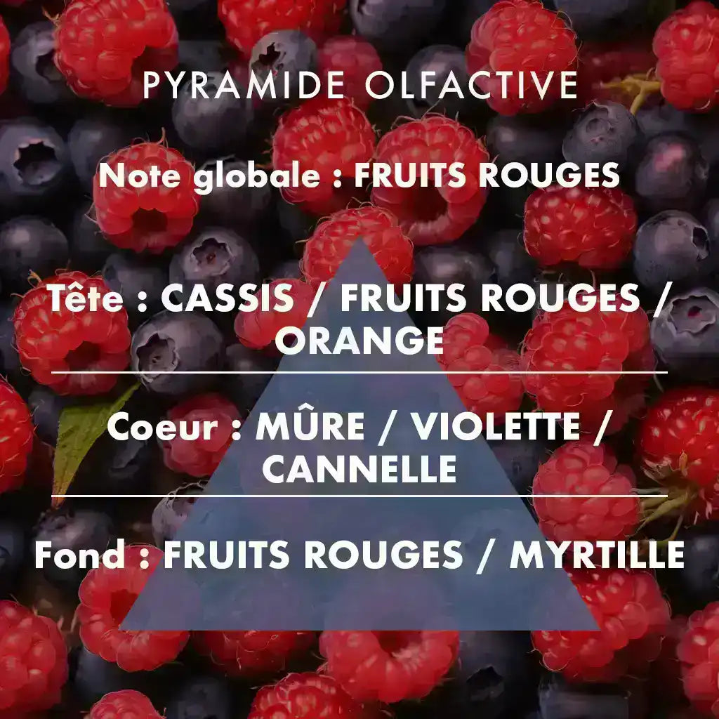 Fruits Rouges - Bougie parfumée 190g