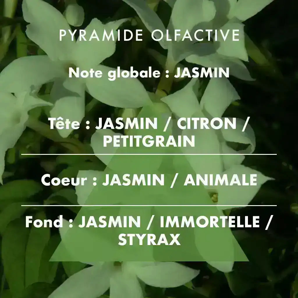 Jasmin - Bougie parfumée 180g