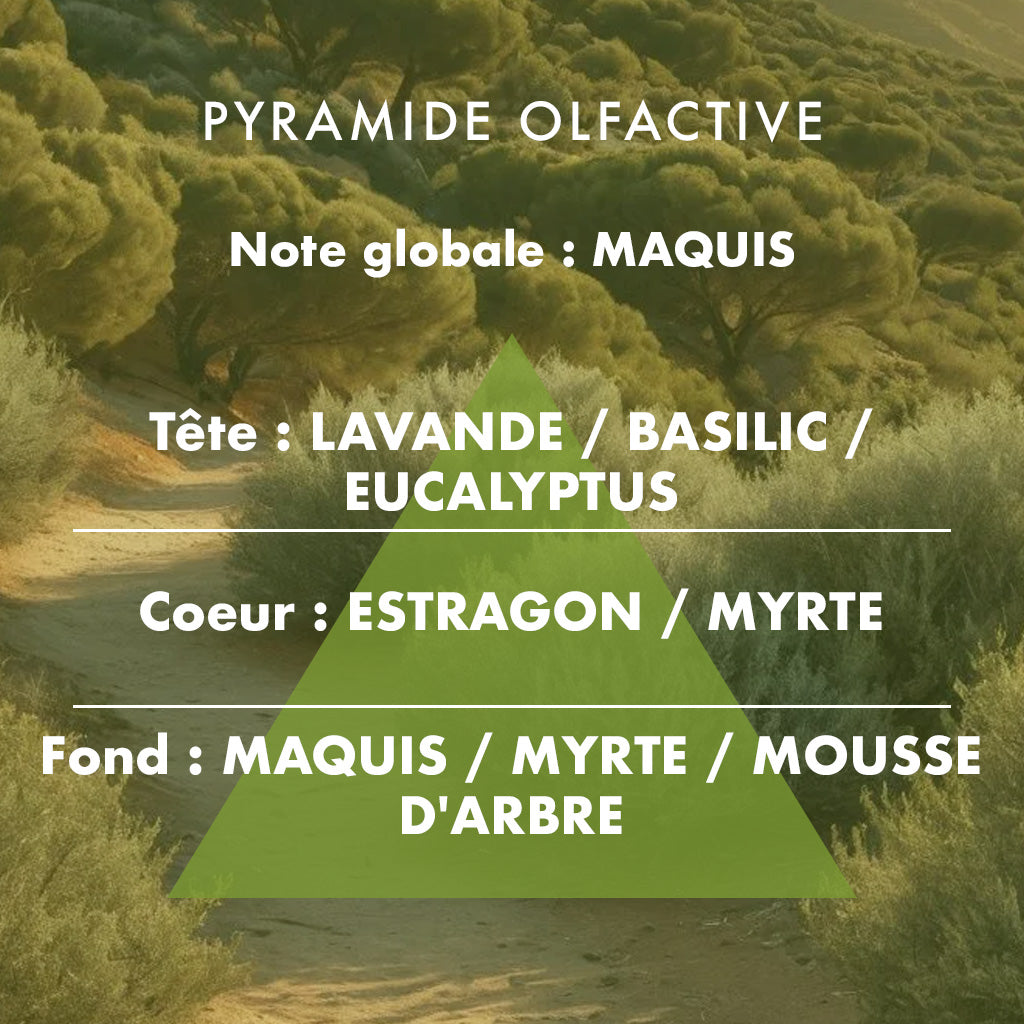 Maquis Provençal - Bougie parfumée 85g