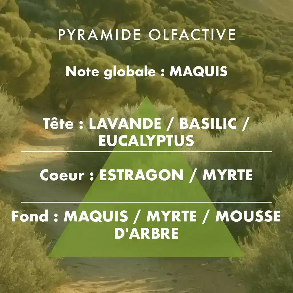 Maquis Provençal - Bougie parfumée 85g