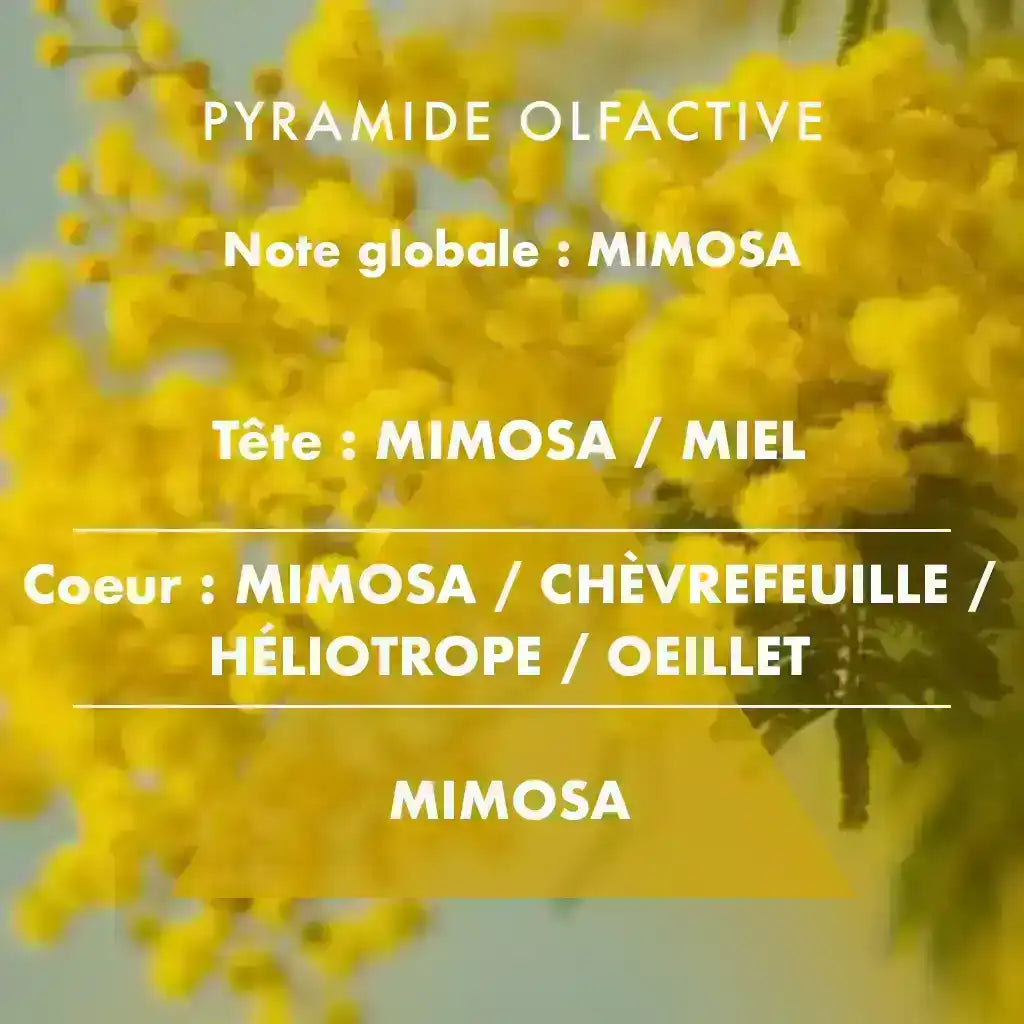 Mimosa - Bougie parfumée 180g