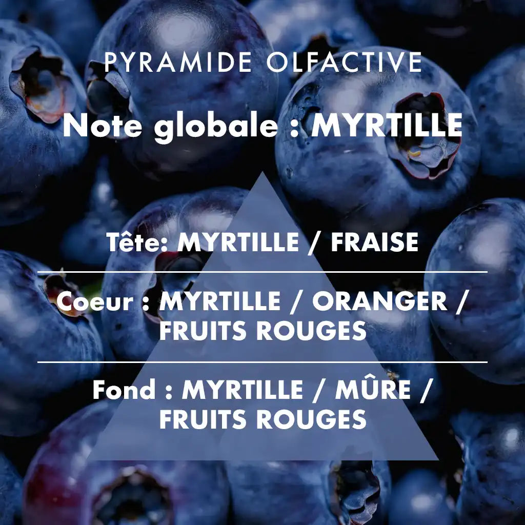 Myrtille - Recharge pour Diffuseur à bâtonnets 200ml