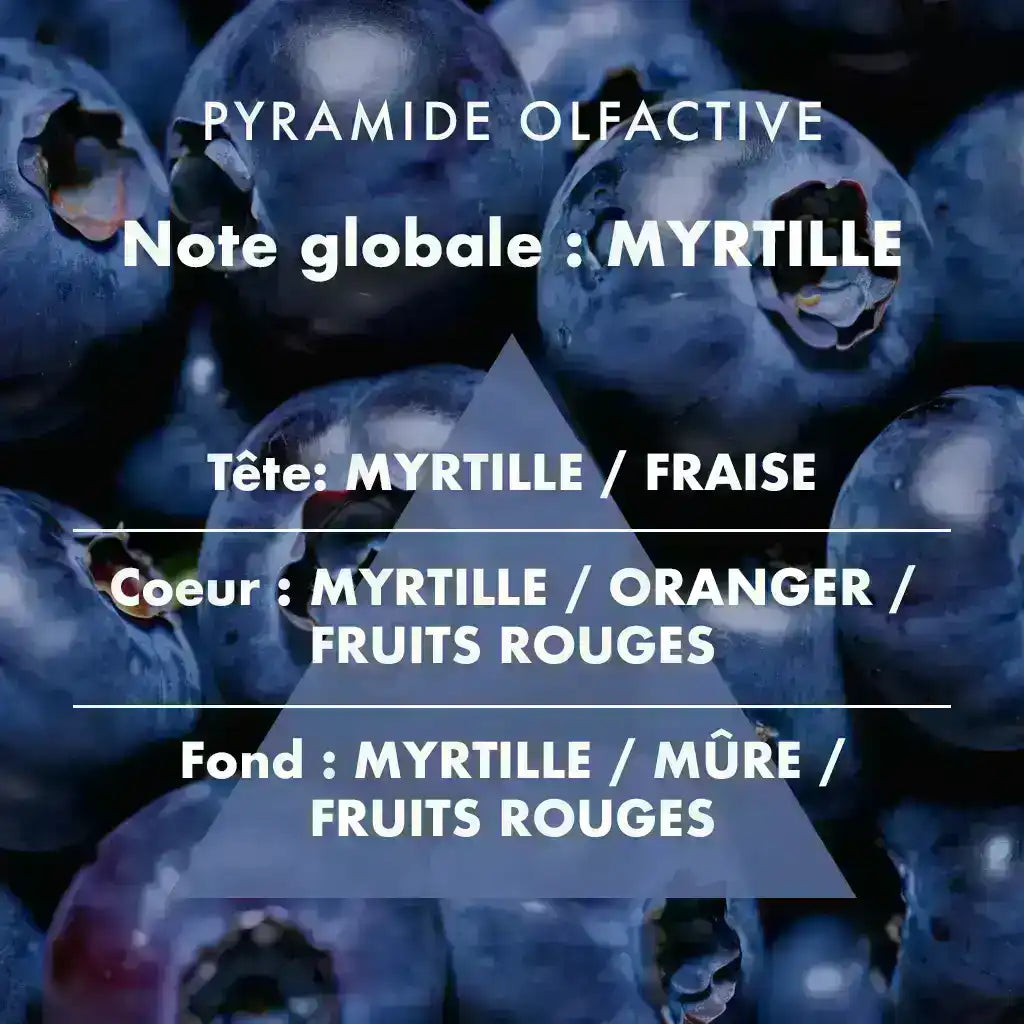 Myrtille - Diffuseur à bâtonnets 200ml