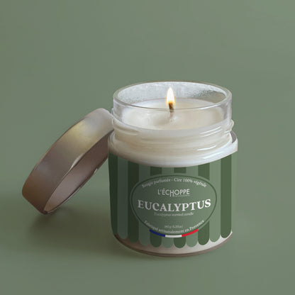Eucalyptus - Scented candle 180g