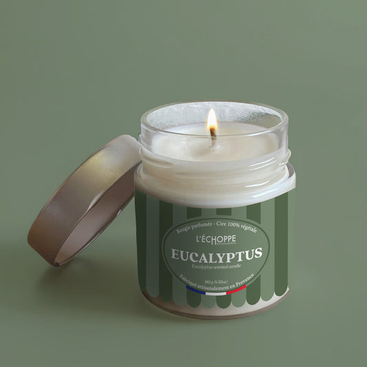 Eucalyptus - Scented candle 180g