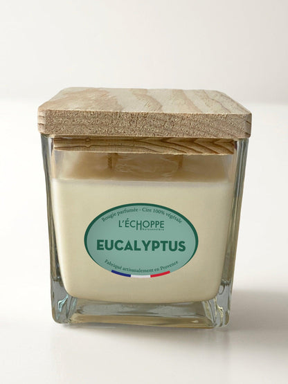 Eucalyptus - Bougie parfumée 400g