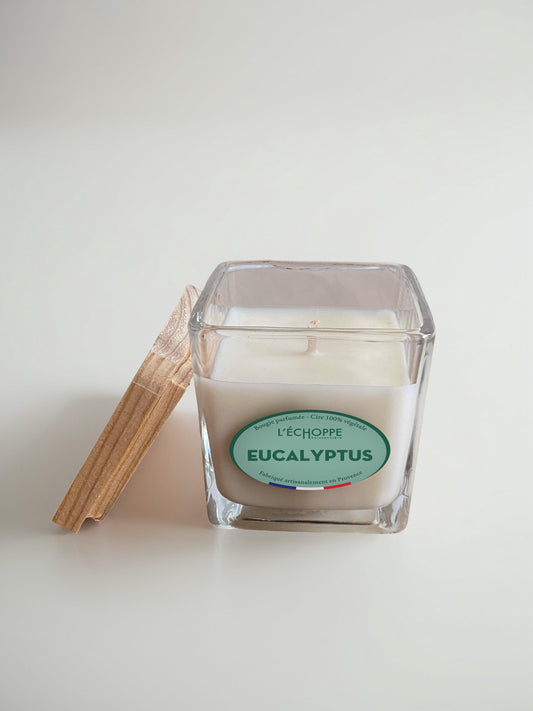 Eucalyptus - Bougie parfumée 85g