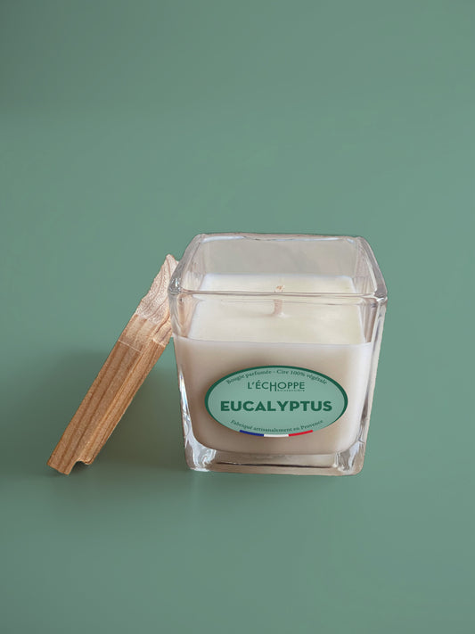 Eucalyptus - Bougie parfumée 85g