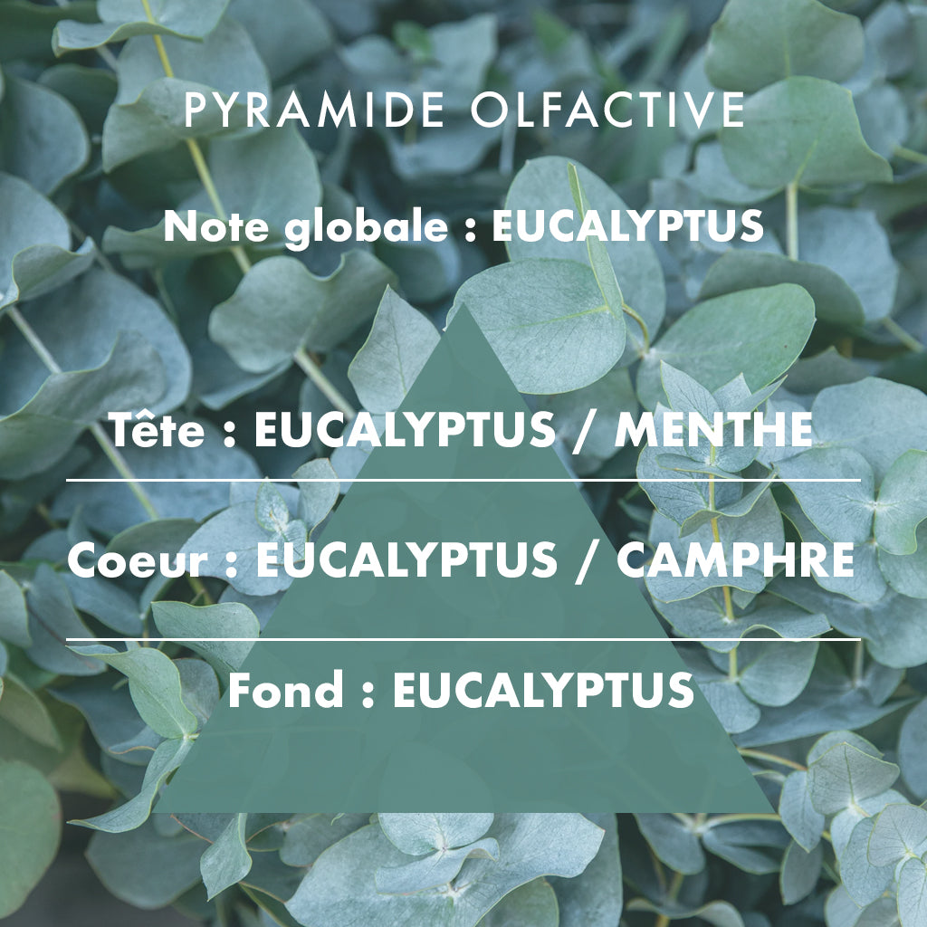 Eucalyptus - Scented candle 180g