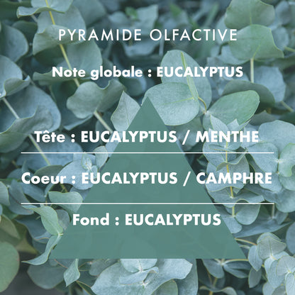 Eucalyptus - Scented candle 180g