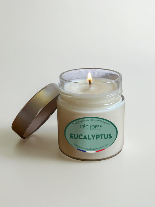 Eucalyptus - Scented candle 180g