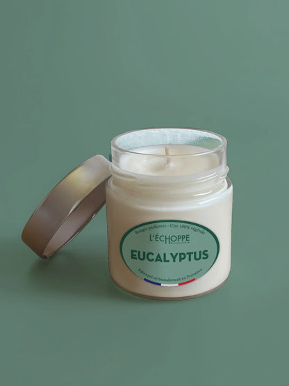 Eucalyptus - Bougie parfumée 180g