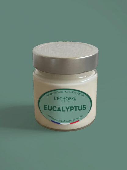 Eucalyptus - Bougie parfumée 180g
