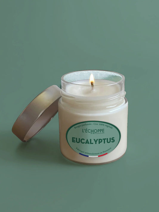 Eucalyptus - Bougie parfumée 180g