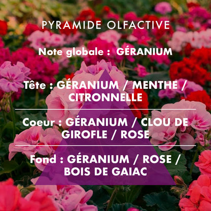 Geranium - Scented candle 180g