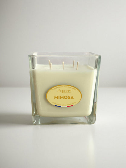 Mimosa - Bougie parfumée 700g