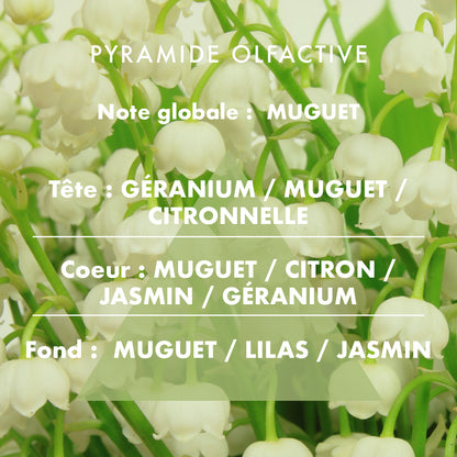 Lily of the valley - Scented candle 700g