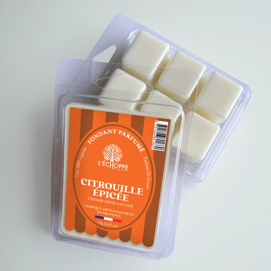 Citrouille Épicée - Fondant de cire parfumée 70g